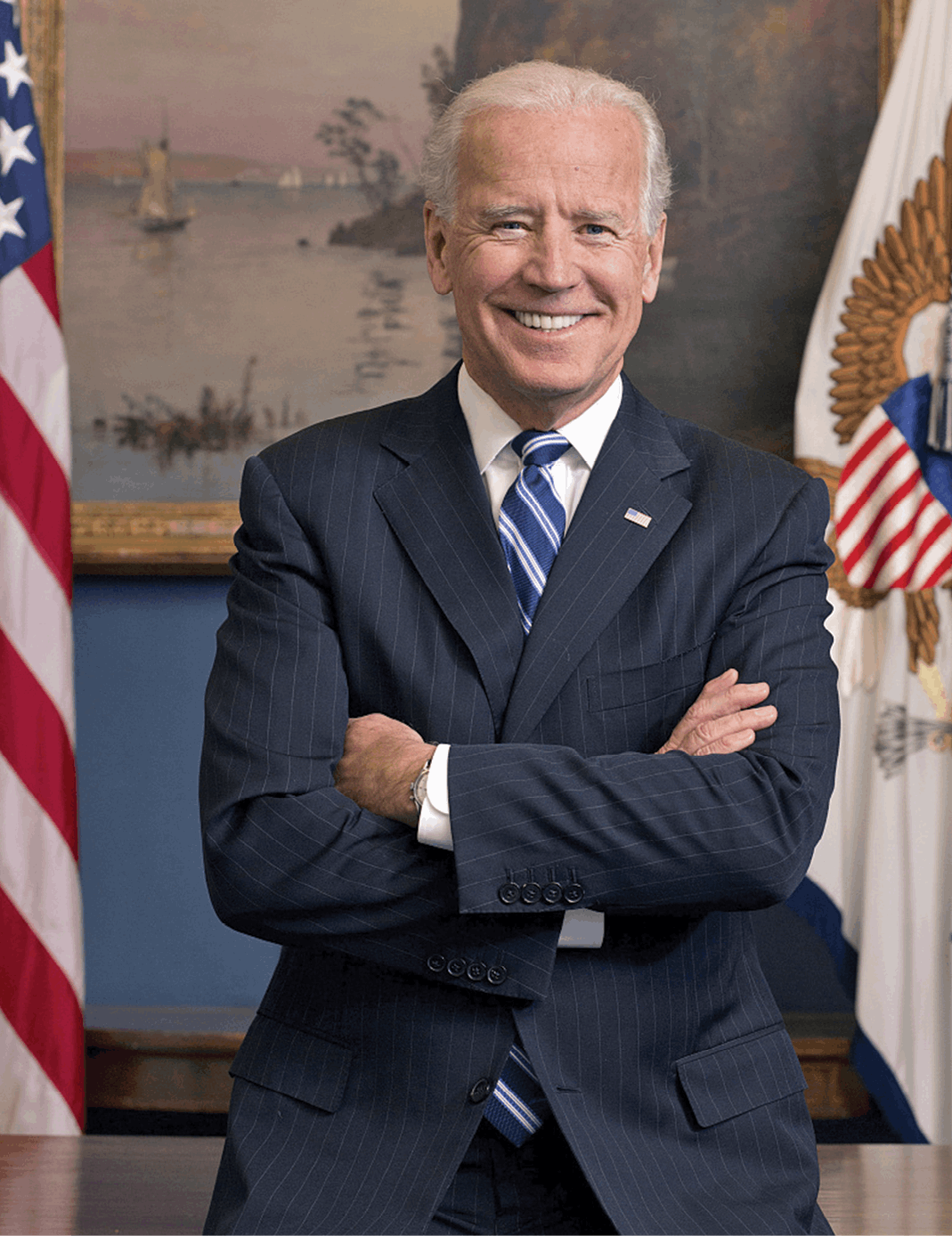 Joe Biden From Scranton to the White House - image 8