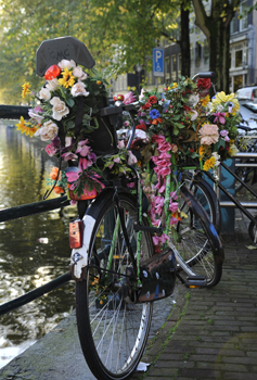 Amsterdam bicycle So much to see so little time Amsterdam is perfect for - photo 6