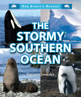 Doreen Gonzales - The Stormy Southern Ocean