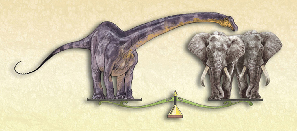 Diplodocus had a neck that was 26 feet long That is four times as long as a - photo 3