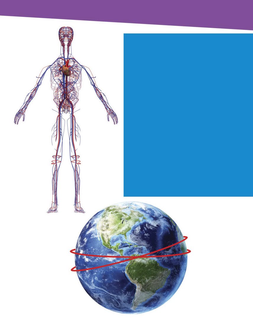 B lood moves things such as oxygen and nutrients around our bodies It also - photo 14