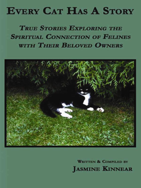 Every Cat Has a Story True Stories Exploring the Spiritual Connection of Felines with Their Beloved Owners - image 1