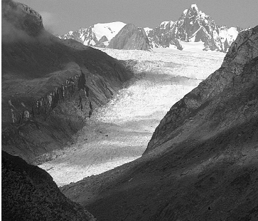 Sun on the Fox Glacier in Westland - photo 6