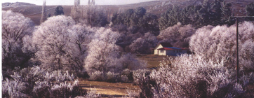 Tour Three-Otago and Mackenzie Country Autumn above and Winter below - photo 9