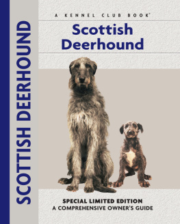 Juliette Cunliffe - Scottish Deerhound