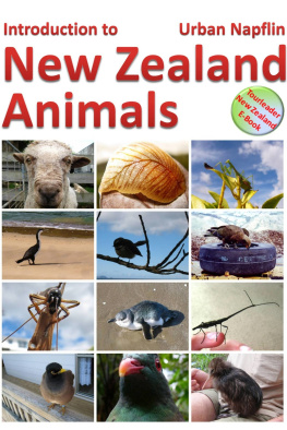 Urban Napflin Introduction to New Zealand Animals