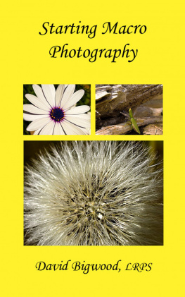 David Bigwood - Starting Macro Photography