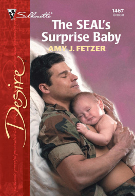 Amy J. Fetzer - The SEALs Surprise Baby