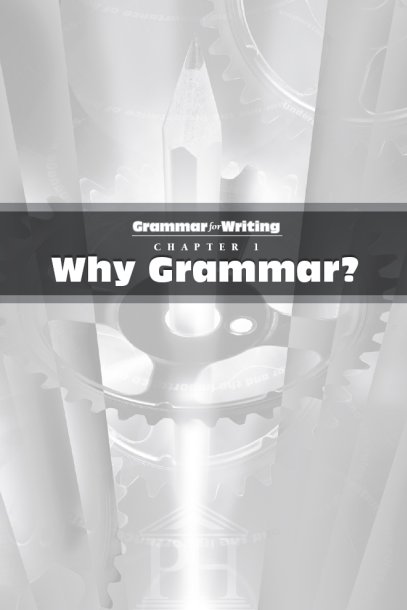 H ere you are at the beginning of a book entitled Grammar for Writing and - photo 4