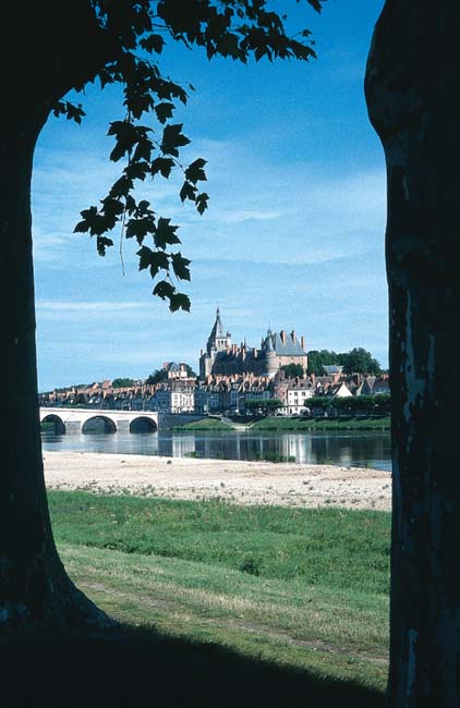 The approach to Gien INTRODUCTION The River Loire is known as the Queen of - photo 5