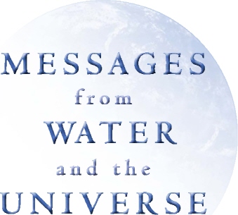 ALSO BY MASARU EMOTO THE HEALING POWER OF WATER THE HIDDEN MESSAGES IN - photo 1