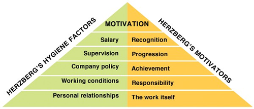 Herzbergs motivators and hygiene factors Maslows hierarchy of needs - photo 6