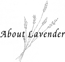 he sprig of lavender that opens each chapter evokes the flower whose pervading - photo 3