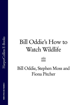 Bill Oddie Bill Oddies How to Watch Wildlife