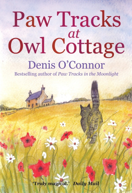 Denis OConnor - Paw Tracks at Owl Cottage