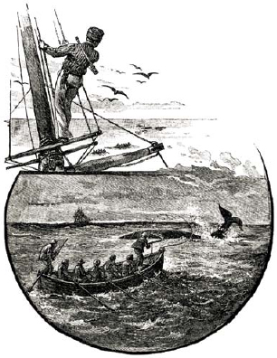 Whale hunters are known as whalers were disappearing For centuries North - photo 14