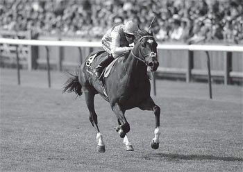 Frankel and Tom Queally in full flight when winning the 2000 Guineas in 2011 - photo 5