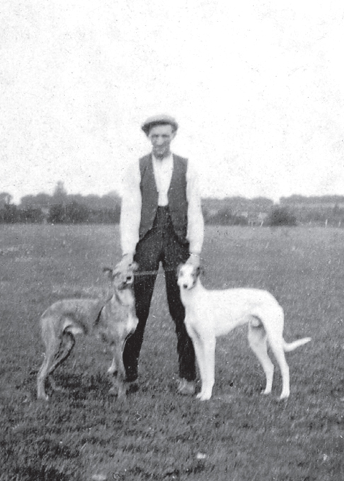 Harry Gleeson with some greyhounds which were his great passion COURTESY TOM - photo 6