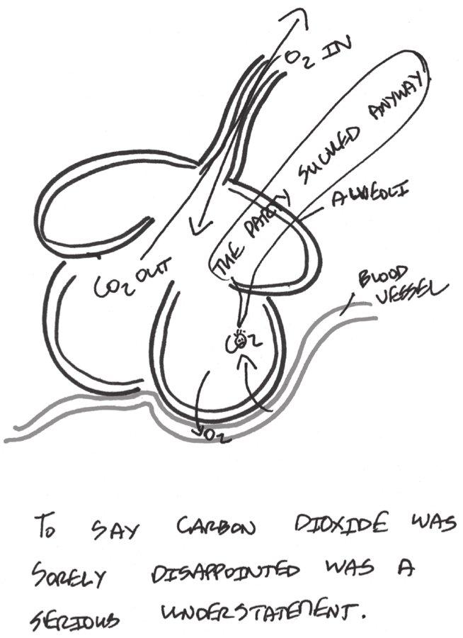 So what happens to all that blood Blood from the right ventricle is pumped out - photo 4