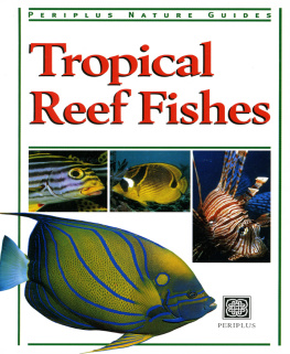 Gerald Allen - Tropical Reef Fishes: Periplus Nature Guide