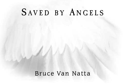 Copyright 2008 - Bruce Van Natta All rights reserved This book is protected by - photo 2