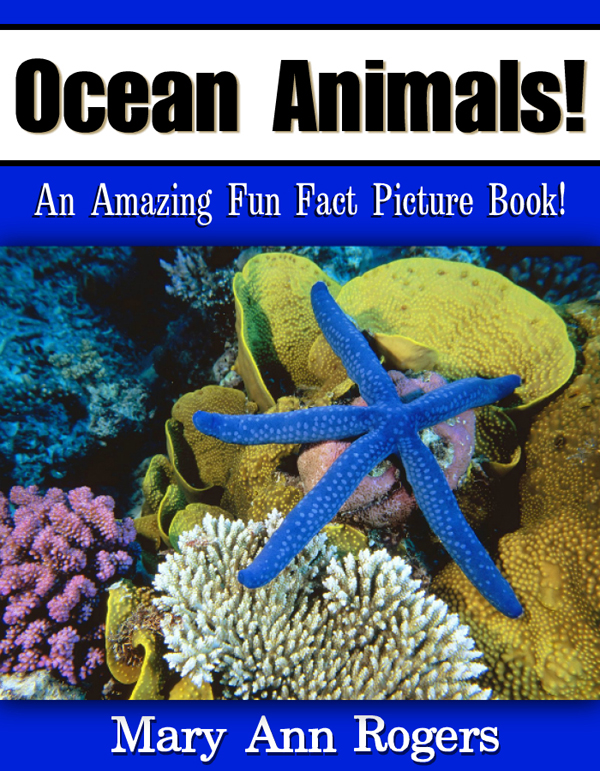 Ocean Animals AnAmazing Fun Fact PictureBook MaryAnn Rogers Table - photo 1