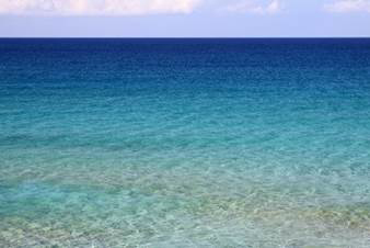 The Ocean Oceansare large bodies of water that cover more than 70 percent of - photo 2