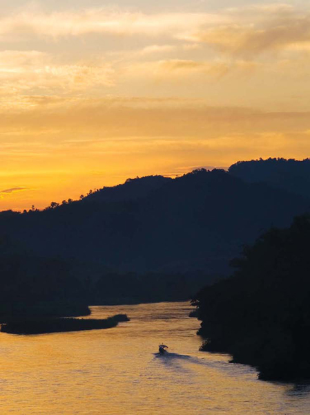 Rivers also support diverse habitats Asias Mekong River is home to the Mekong - photo 16