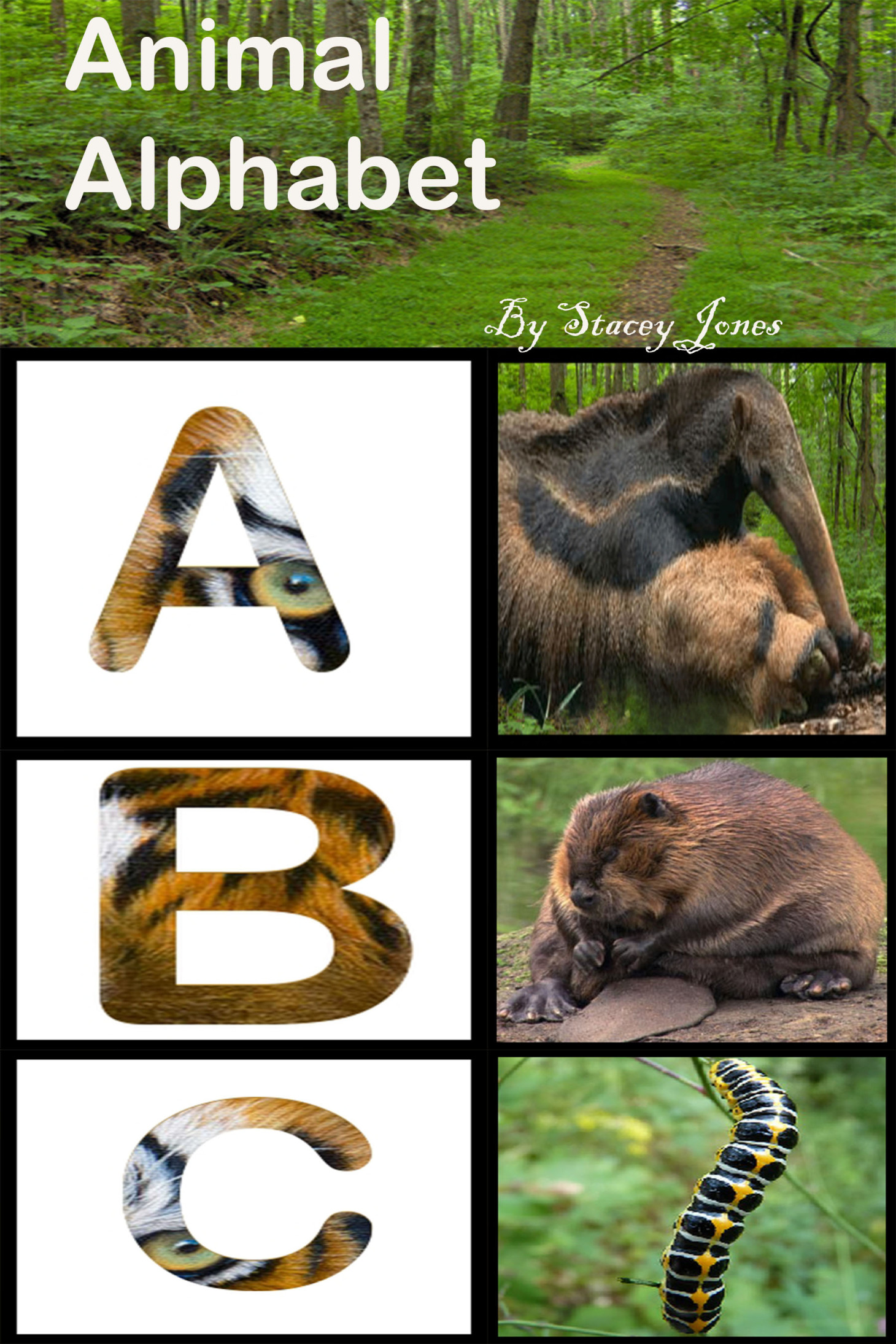 Table Of Contents A A is for Anteater The amazing anteater lives in - photo 1