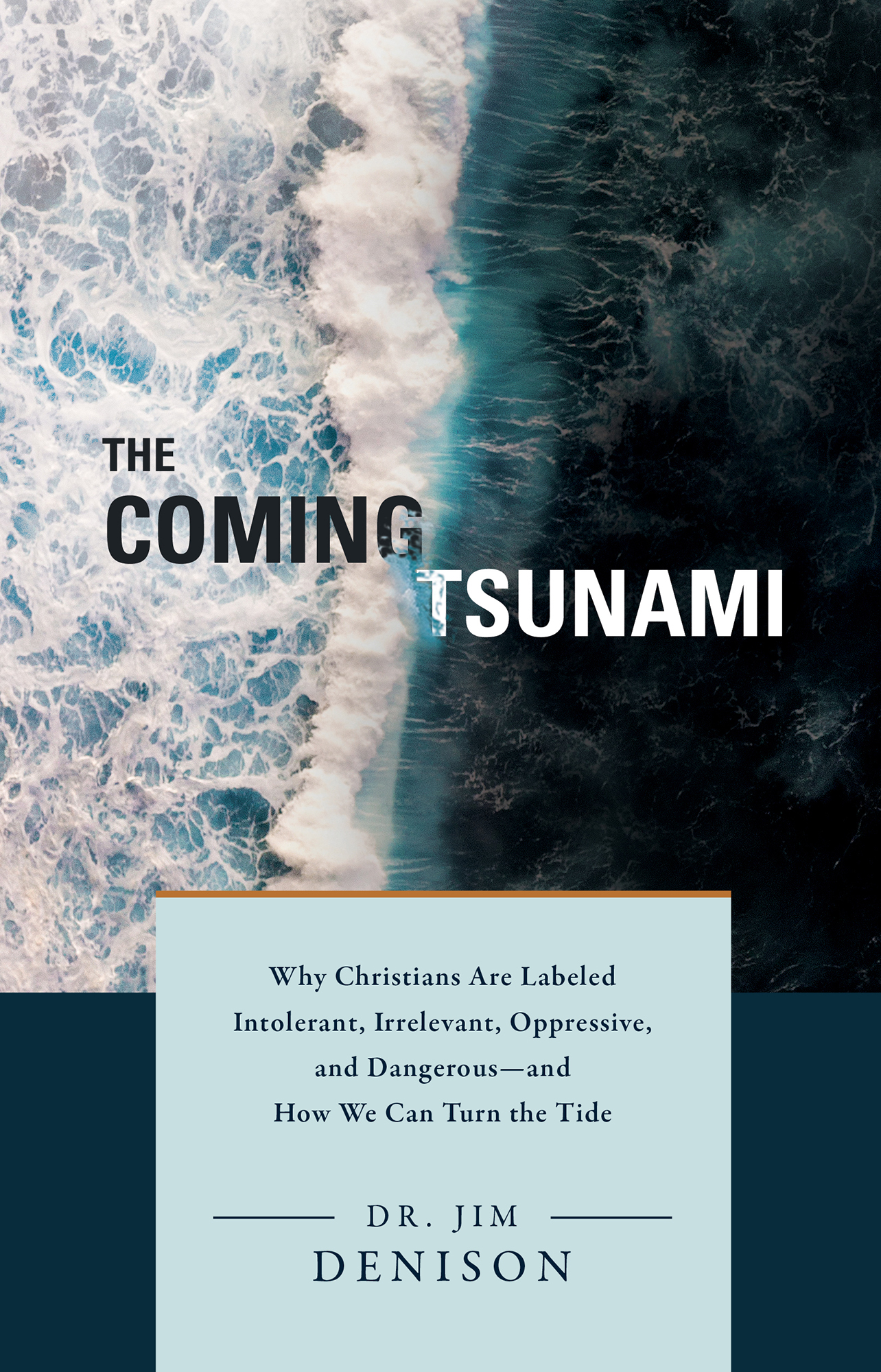 The Coming Tsunami Why Christians Are Labeled Intolerant Irrelevant - photo 1