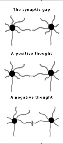 Thinking I can releases chemicals and creates brain-cell connections that in - photo 2