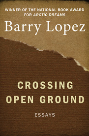 Crossing Open Ground - photo 4