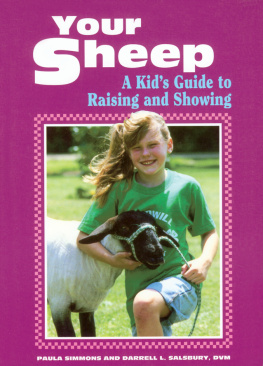 Paula Simmons Your Sheep: A Kids Guide to Raising and Showing