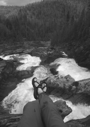 The view from the top of Denison Falls on the Dog River This remote - photo 2