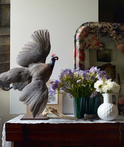 An uncased African guinea fowl of unknown origin First published in the - photo 2