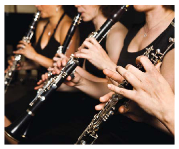 WOODWIND PERCUSSION Sonatas are written for solos using instruments such as - photo 19
