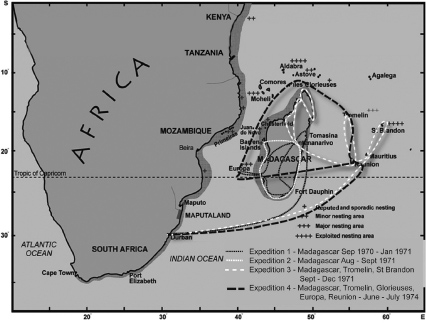 The island expeditions 1969-1974 Loggerhead migration routes - photo 6