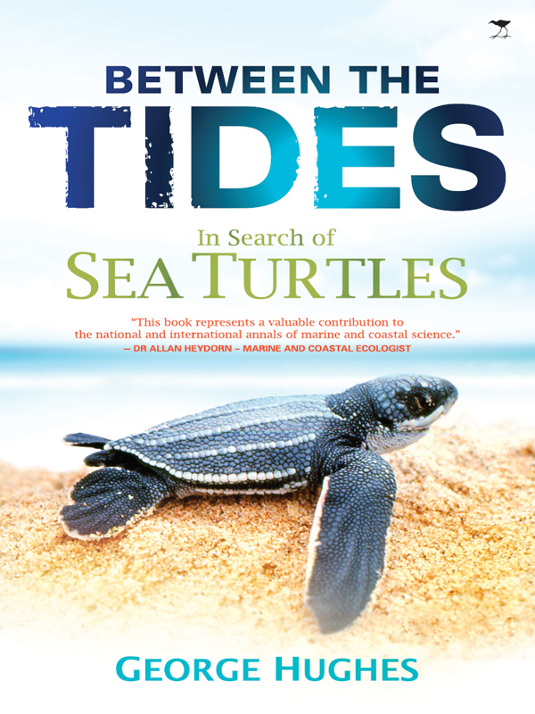 Between the Tides In Search of Sea Turtles - image 1