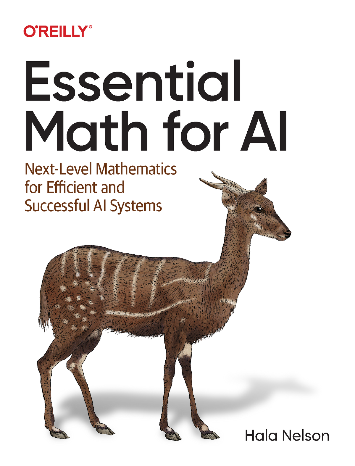 Praise for Essential Math for AI Technology and AI markets are like a river - photo 1