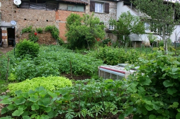 Our Frugal Summer in Charente An Expats Kitchen Garden Journal Preface - What - photo 2