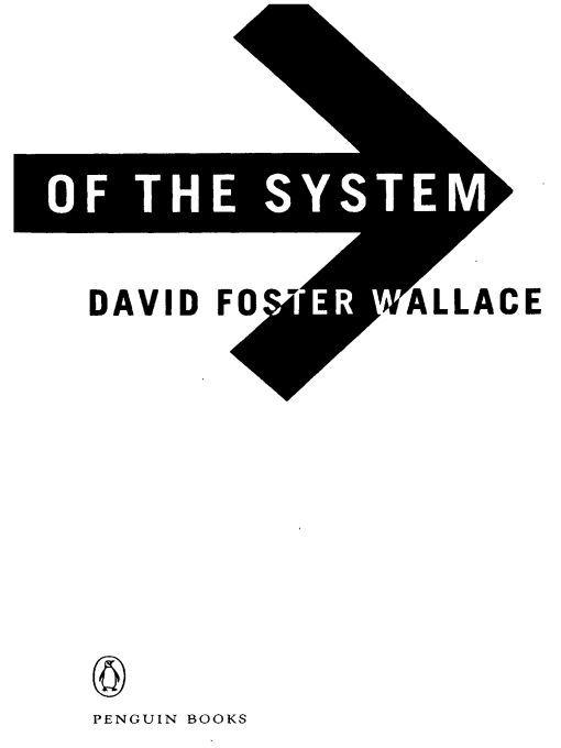 Table of Contents More Praise for The Broom of the System and David Foster - photo 1