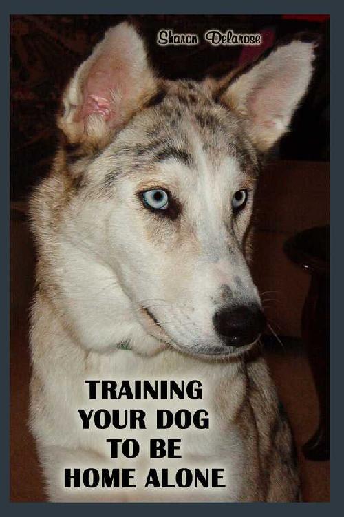 Training Your Dog to be Home Alone Excerpts From Bad Dog to Best Friend Books - photo 1