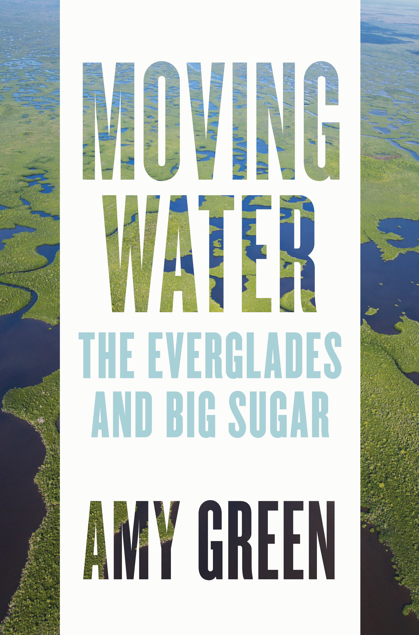 MOVING WATER MOVING WATER THE EVERGLADES AND BIG SUGAR AMY GREEN JOHNS - photo 1