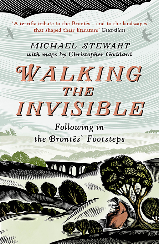 Walking the Invisible - image 1