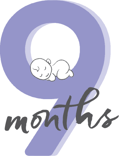 9 Months The Essential Australian Guide to Pregnancy - image 3