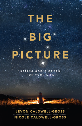 Nicole Caldwell-Gross The Big Picture: Seeing Gods Dream for Your Life