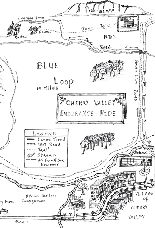 CONTENTS Blue Ridge Mountains last Friday in June 1990s T remors of - photo 4