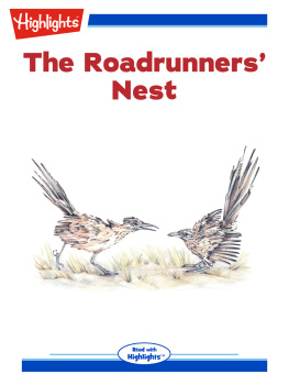 Jennifer Owings Dewey - The Roadrunners Nest