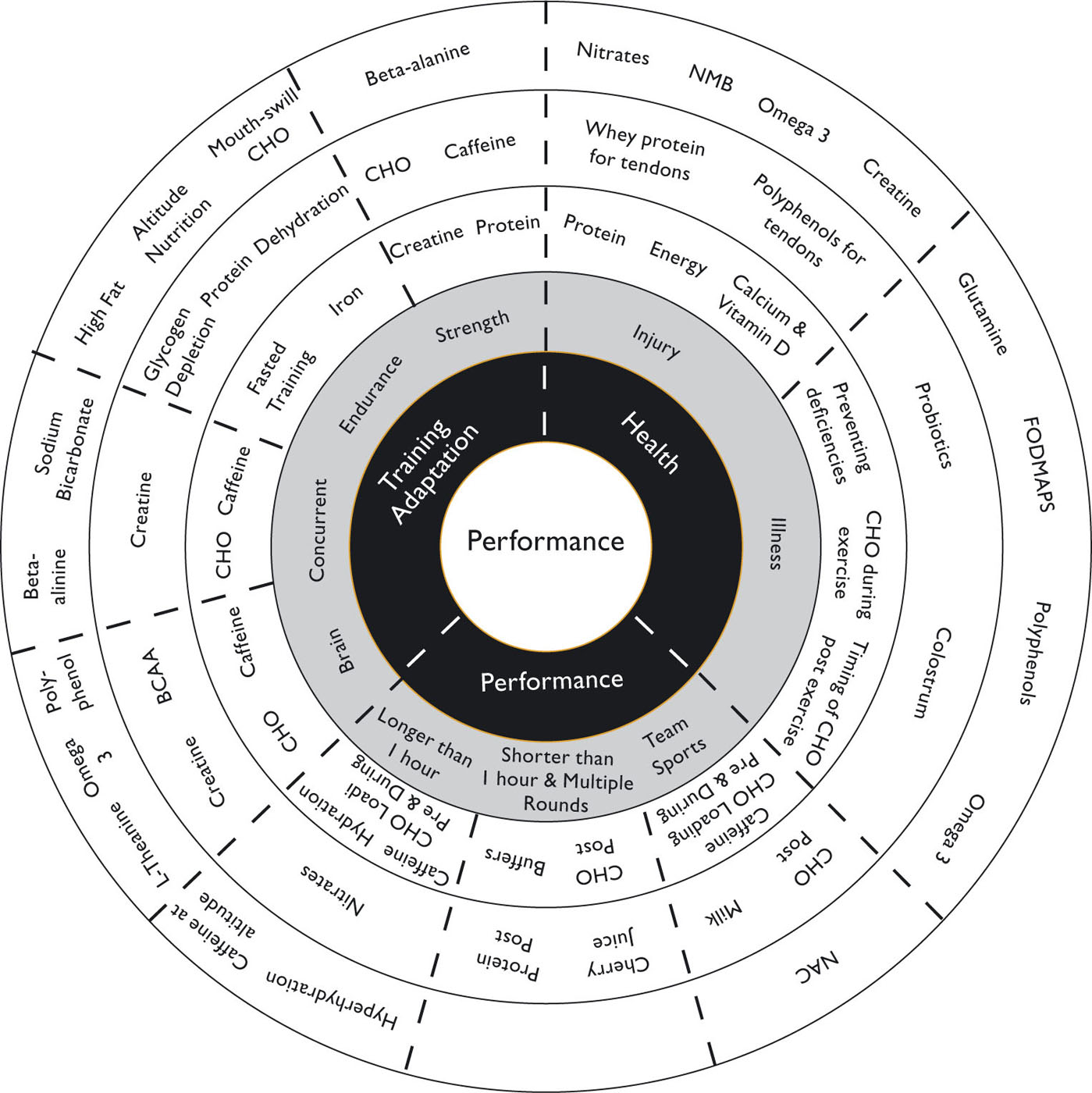 Areas of impact of nutrition on sporting performance Meal Food - photo 3