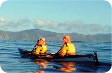 Approaching Arapawa Island and safety as we paddle the Cook Strait Photo Tim - photo 8